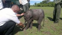 Moyo meeting his Captain